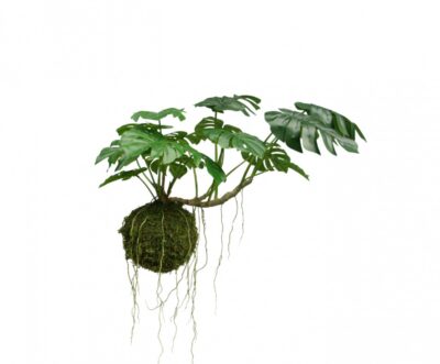 Monstera hang plant groen Silk-ka - H60 cm