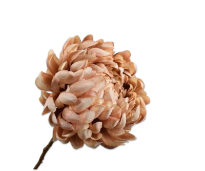 Chrysant beige roze Silk-ka - H64 cm