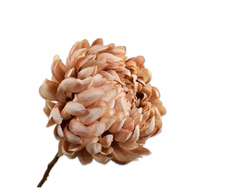 Chrysant beige roze Silk-ka - H64 cm