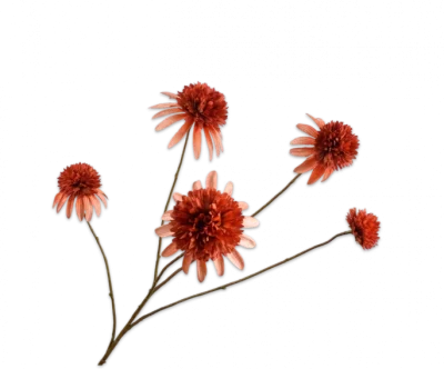 Rudbeckia oranje rood Silk-ka - H90 cm