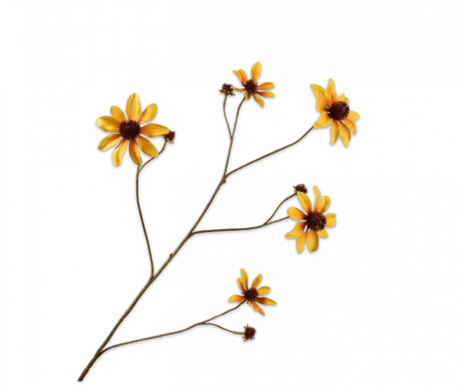 Rudbeckia geel Silk-ka - H91 cm