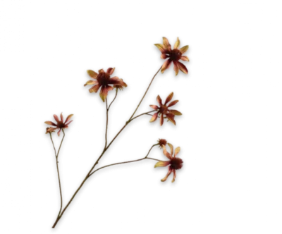Rudbeckia geel bruin Silk-ka - 91 cm
