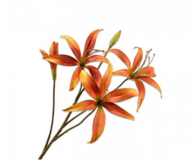 Lelie oranje Silk-ka - H80 cm
