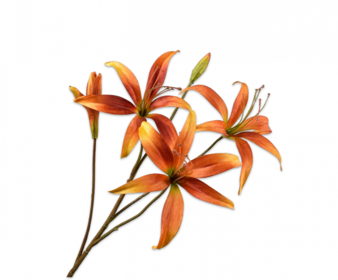 Lelie oranje Silk-ka - H80 cm