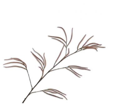 Gras tak roze Silk-ka - H131 cm