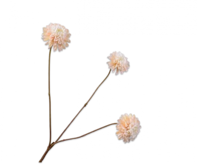 Dahlia tak beige Silk-ka - H65 cm