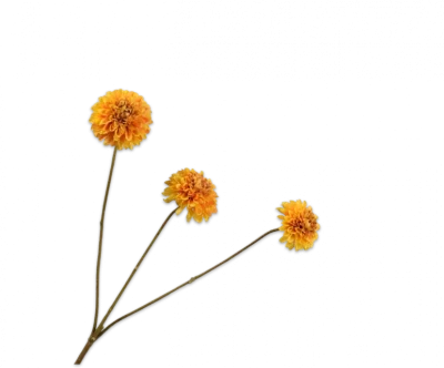 Dahlia tak geel Silk-ka - H65 cm