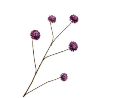 Dahlia tak paars Silk-ka - H90 cm