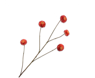 Dahlia tak rood Silk-ka - H90 cm