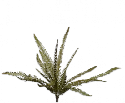Varen - Silk-ka - H91 cm