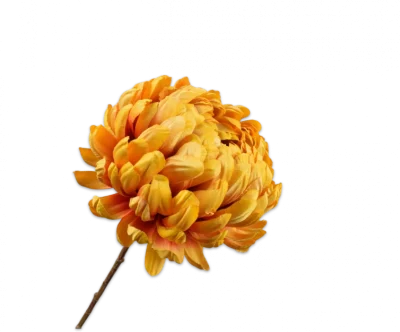 Chrysant geel Silk-ka - H76 cm