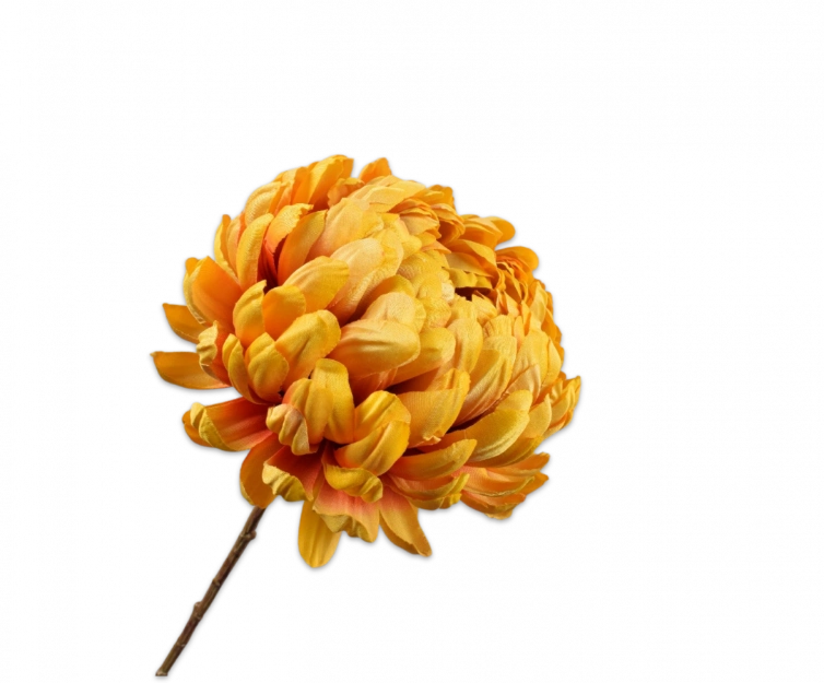 Chrysant geel Silk-ka - H76 cm