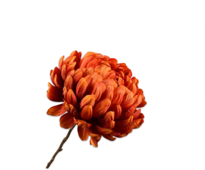 Chrysant rood Silk-ka - H76 cm
