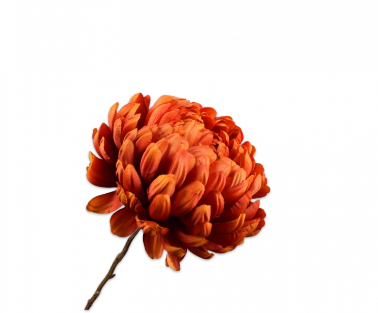 Chrysant rood Silk-ka - H76 cm
