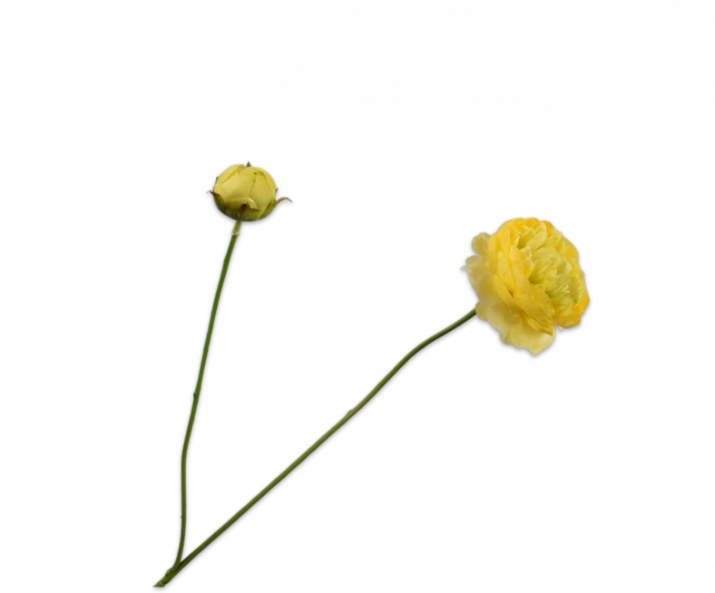 silk-ka ranonkel geel