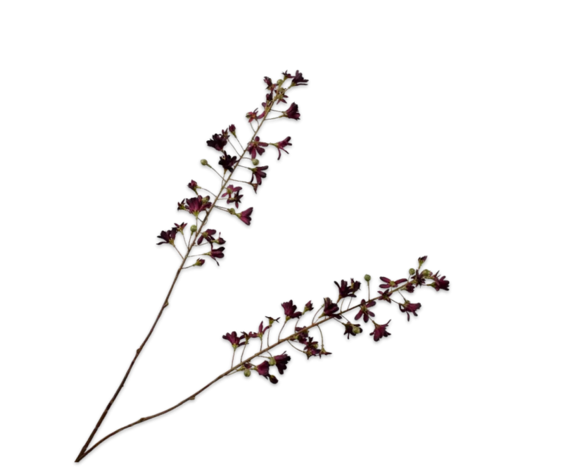 hyacint silk-ka