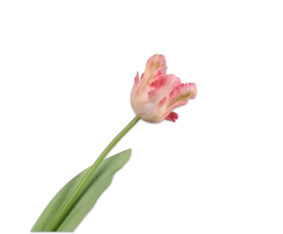 Papegaai tulp licht roze – Silk-ka Real Touch – H61 cm