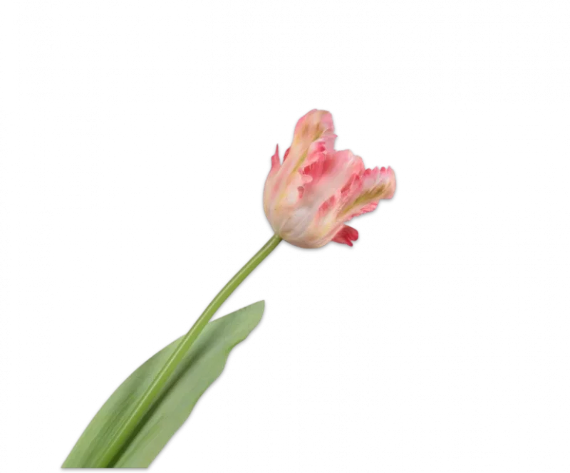 Papegaai tulp licht roze – Silk-ka Real Touch – H61 cm