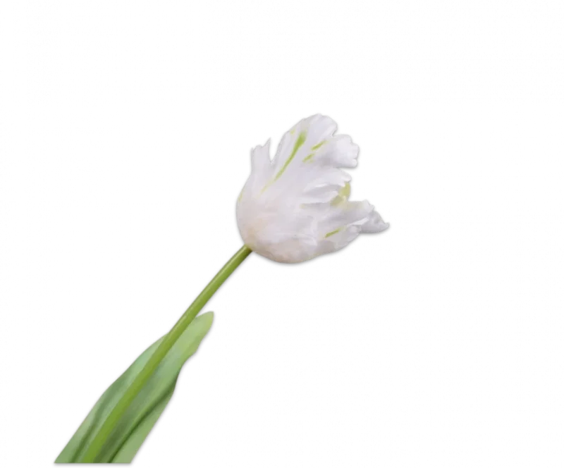 Papegaai tulp wit – Silk-ka Real Touch – H61 cm