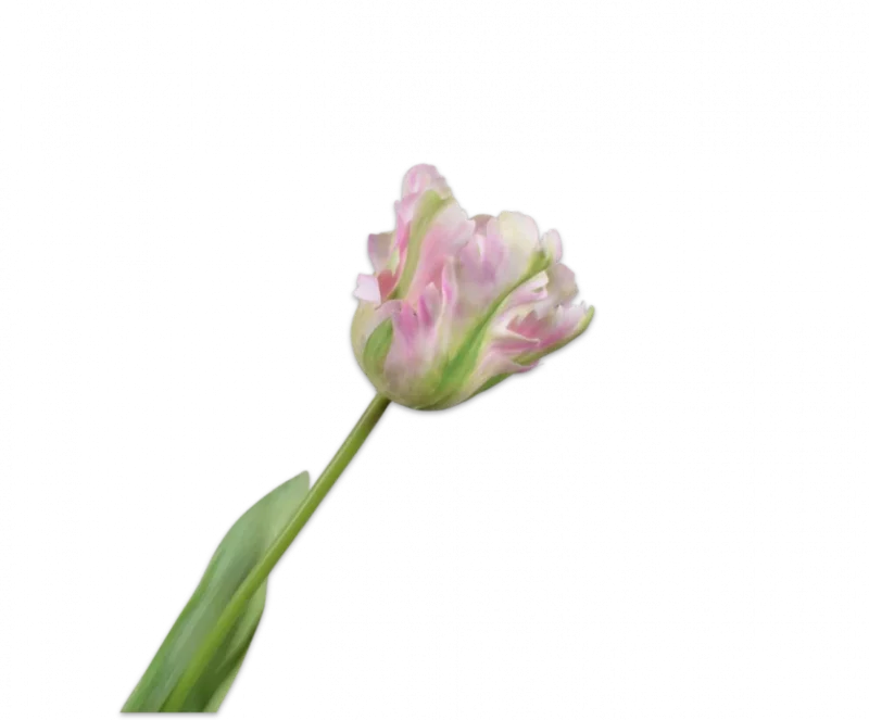 Papegaai tulp roze groen – Silk-ka Real Touch – H61 cm