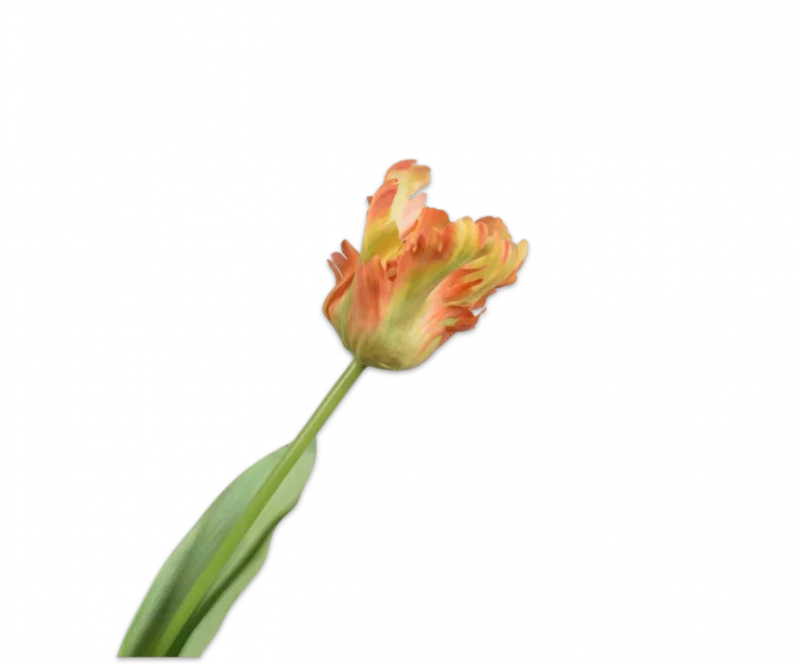 Papegaai tulp oranje - Silk-ka Real Touch - H61 cm