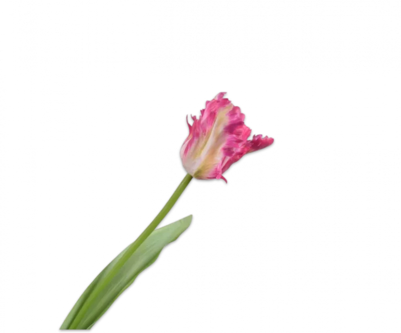 Papegaai tulp roze - Silk-ka Real Touch - H61 cm