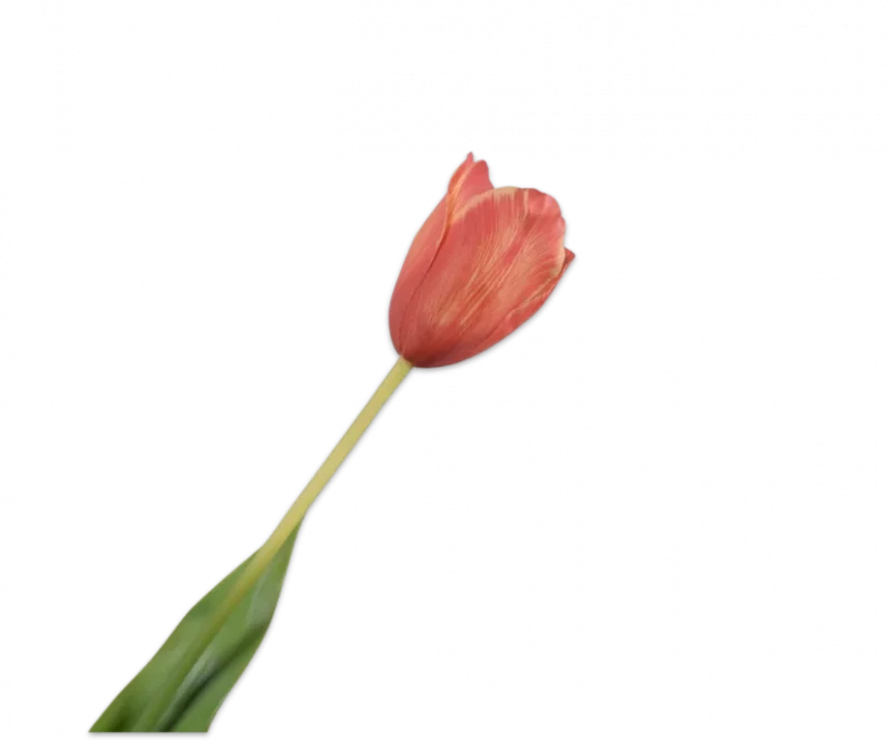 Oranje gele tulp - Silk-ka Real Touch - H72 cm