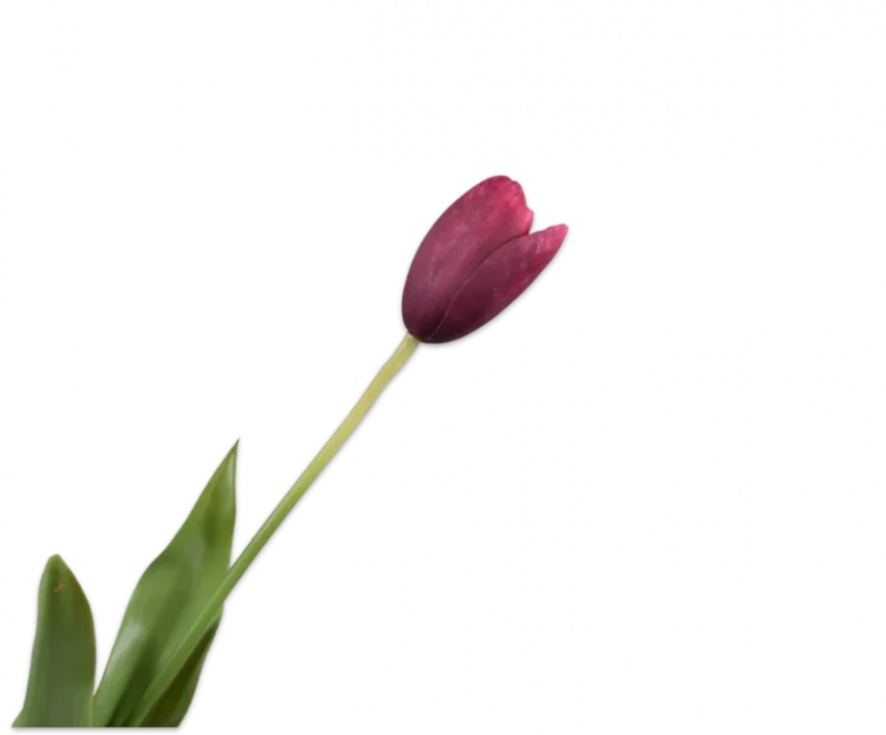 Bordeaux tulp - Silk-ka Real Touch - H82 cm