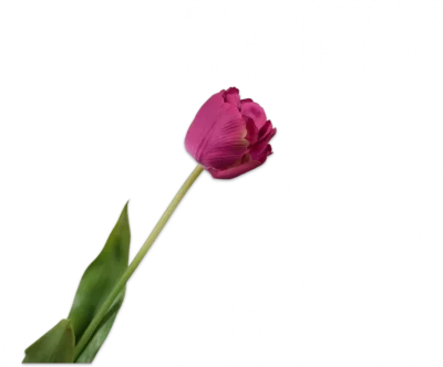 Roze tulp - Silk-ka Real Touch - H66 cm