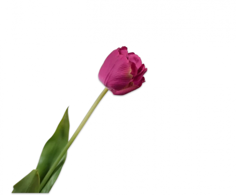 Roze tulp - Silk-ka Real Touch - H66 cm