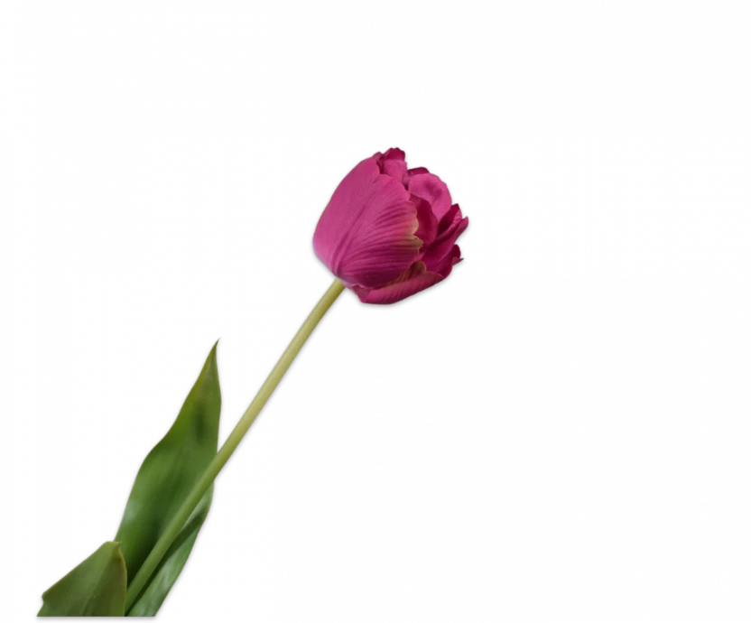 Roze tulp - Silk-ka Real Touch - H66 cm