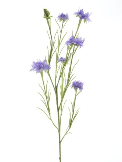 Korenbloem paars - H90 cm