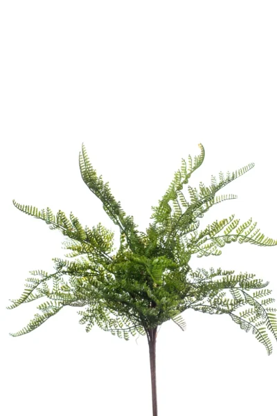 Varen groen - H40 cm