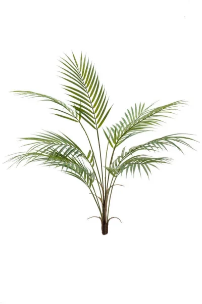 Bergpalm groen - H85 cm