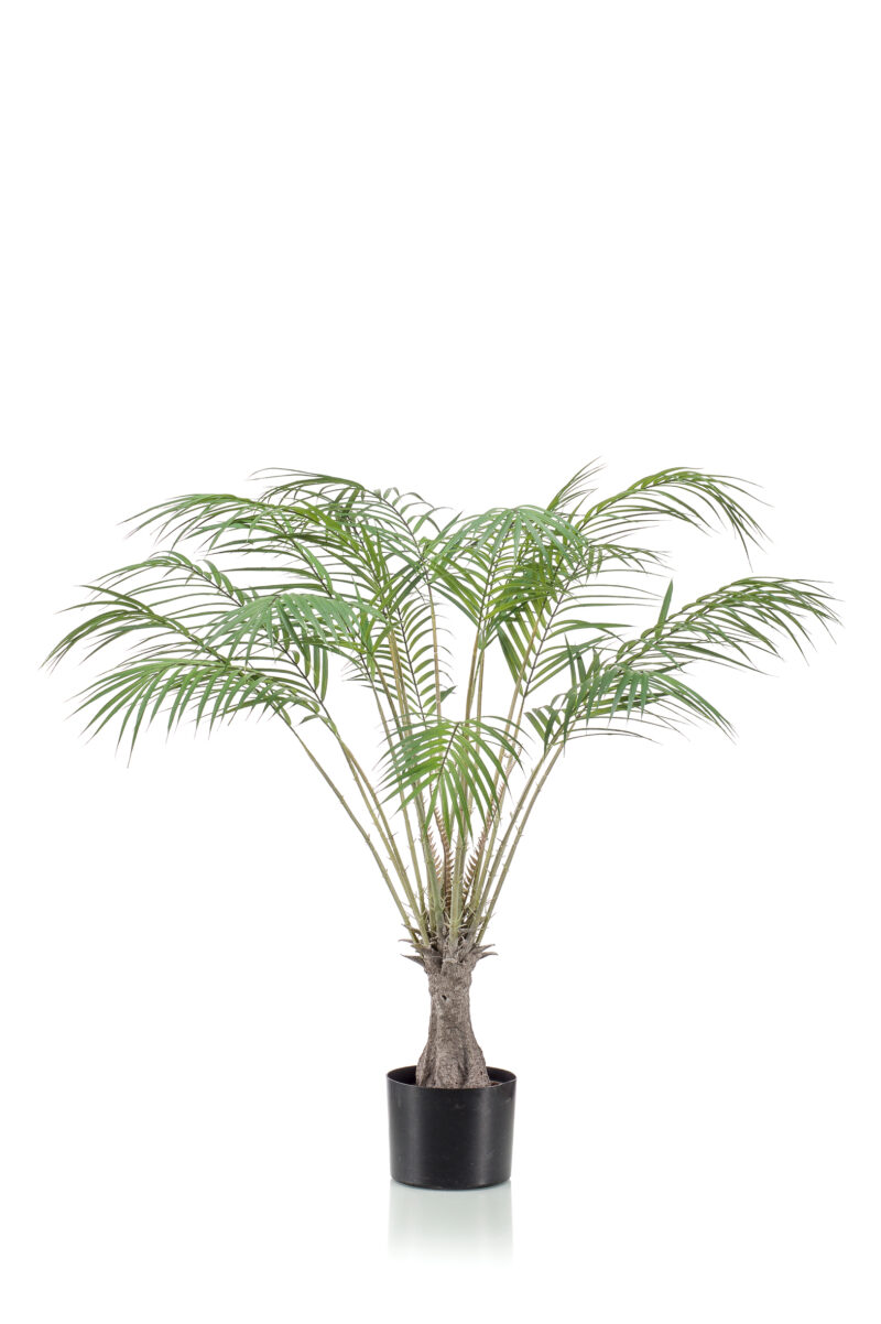 Varen/palm H100 cm