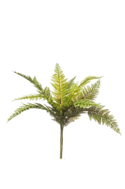 Varen groen - H50 cm