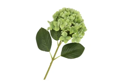 Hortensia groen - H45 cm