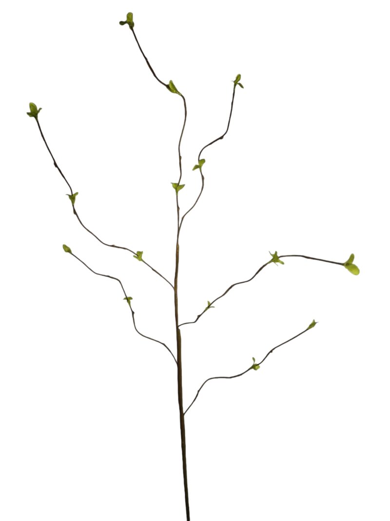 Wilgen tak groen H110 cm