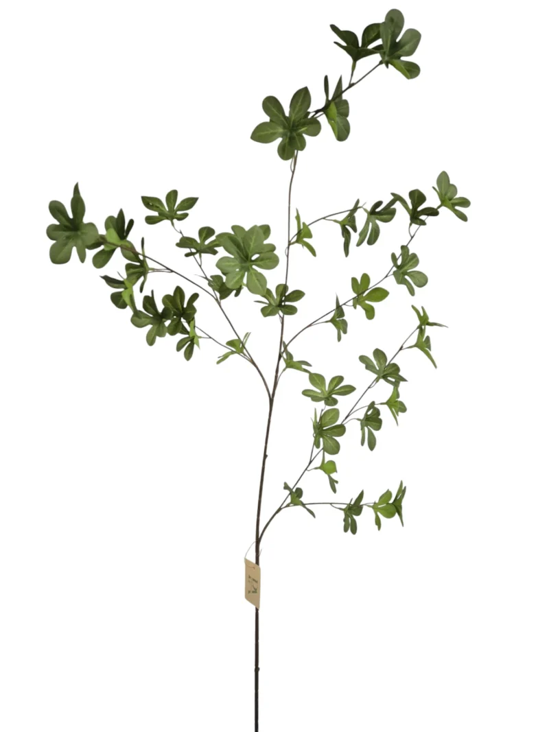 blad tak groen