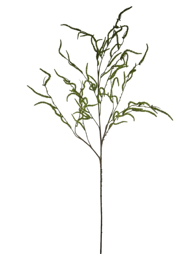 Wilg groen - H120 cm