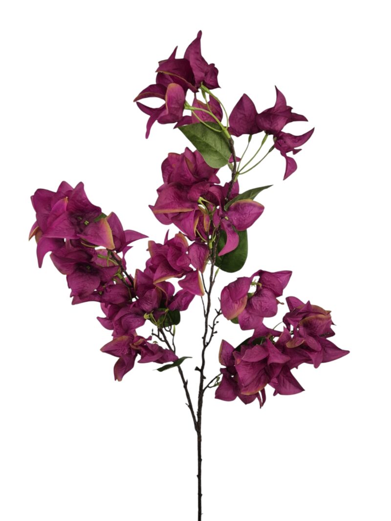 Bougainvillea paars - H110 cm