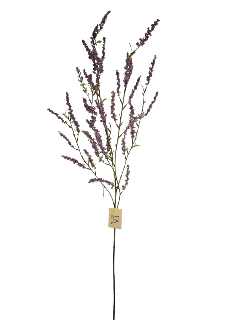 bruidsbloem lila paars