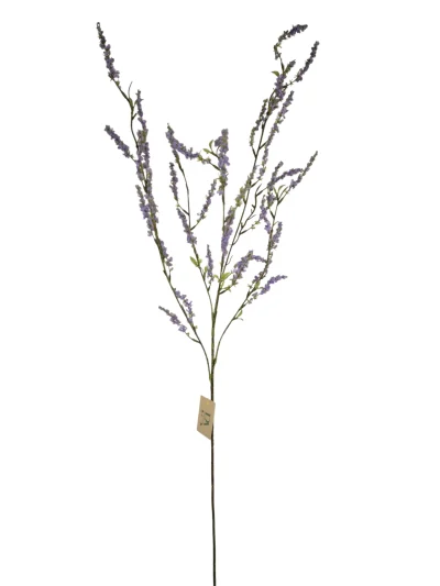 bruidsbloem lila