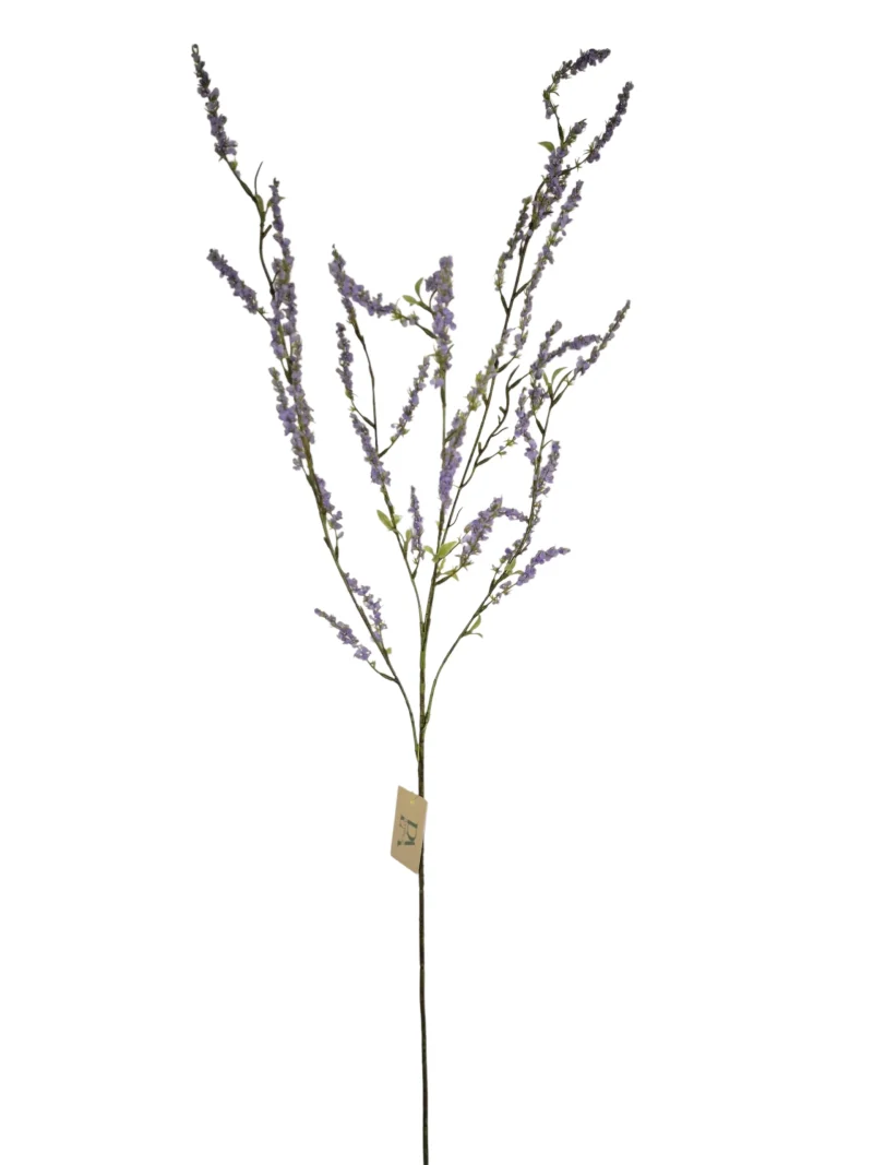 bruidsbloem lila