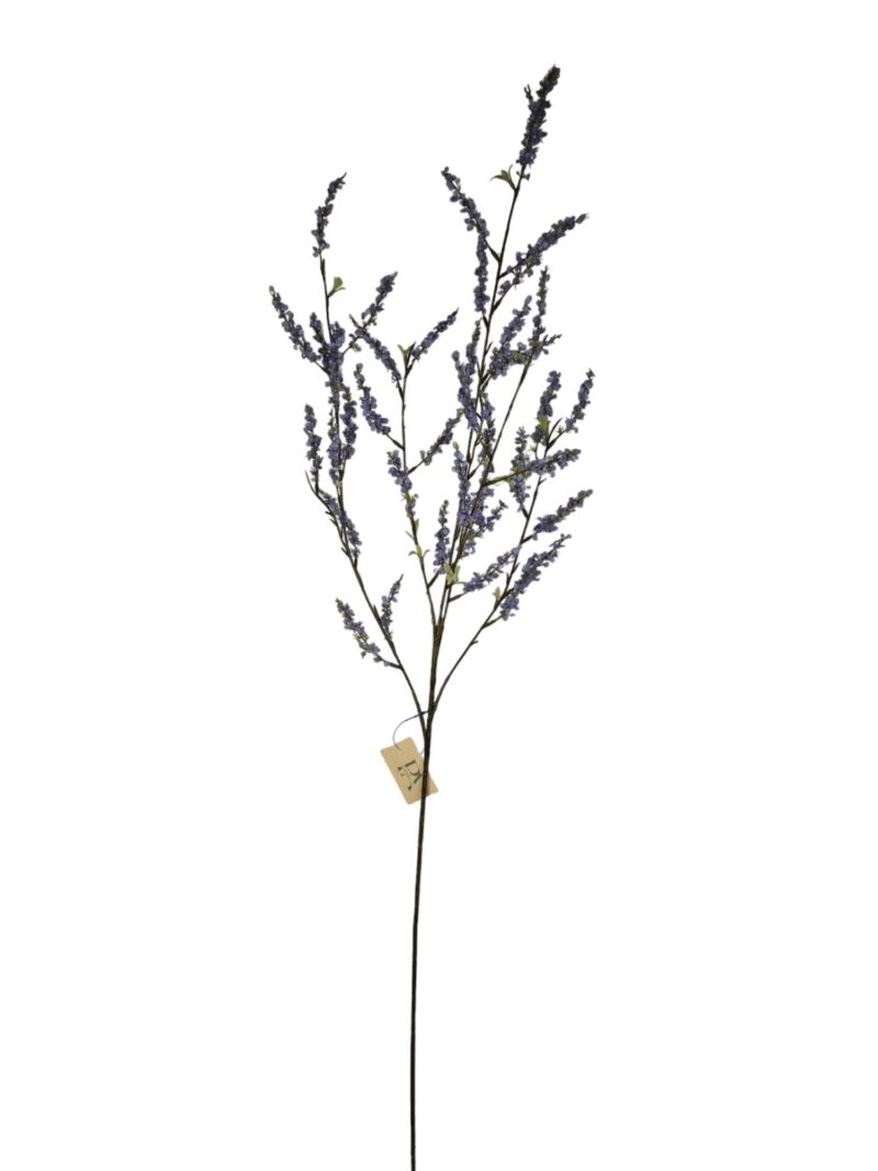 Bruidsbloem blauw paars - H110 cm