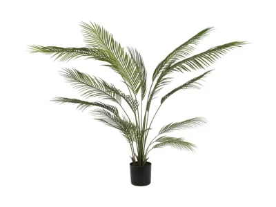 kunst palm