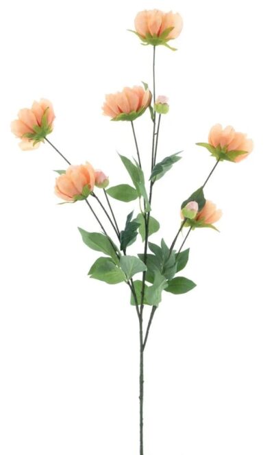 Pioenroos tak peach - H126 cm