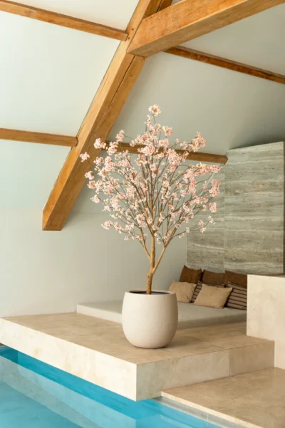bloesem boom roze