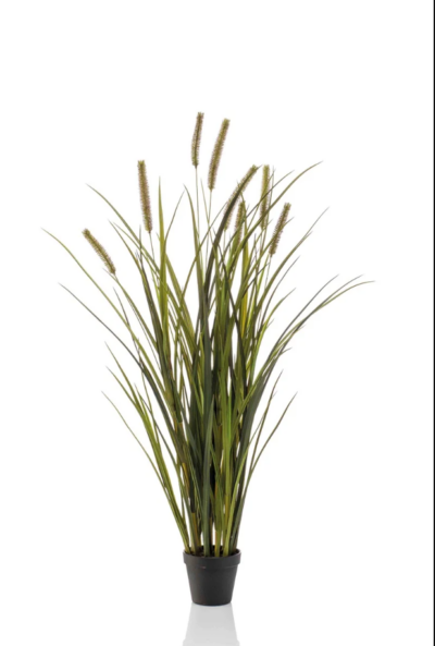 Gras pluimplant -H100 cm
