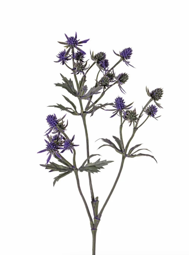 Distel tak paars